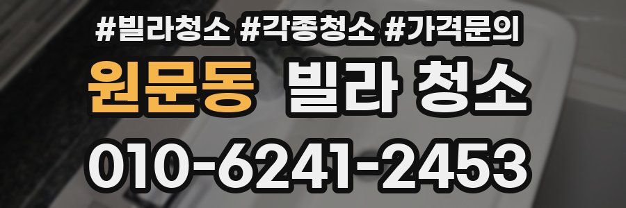 원문동 빌라 청소