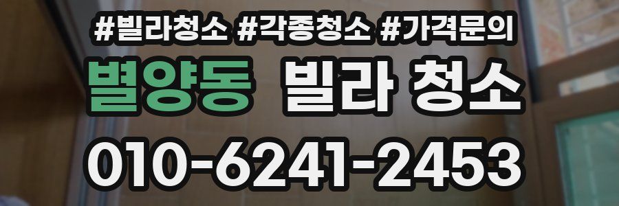 별양동 빌라 청소