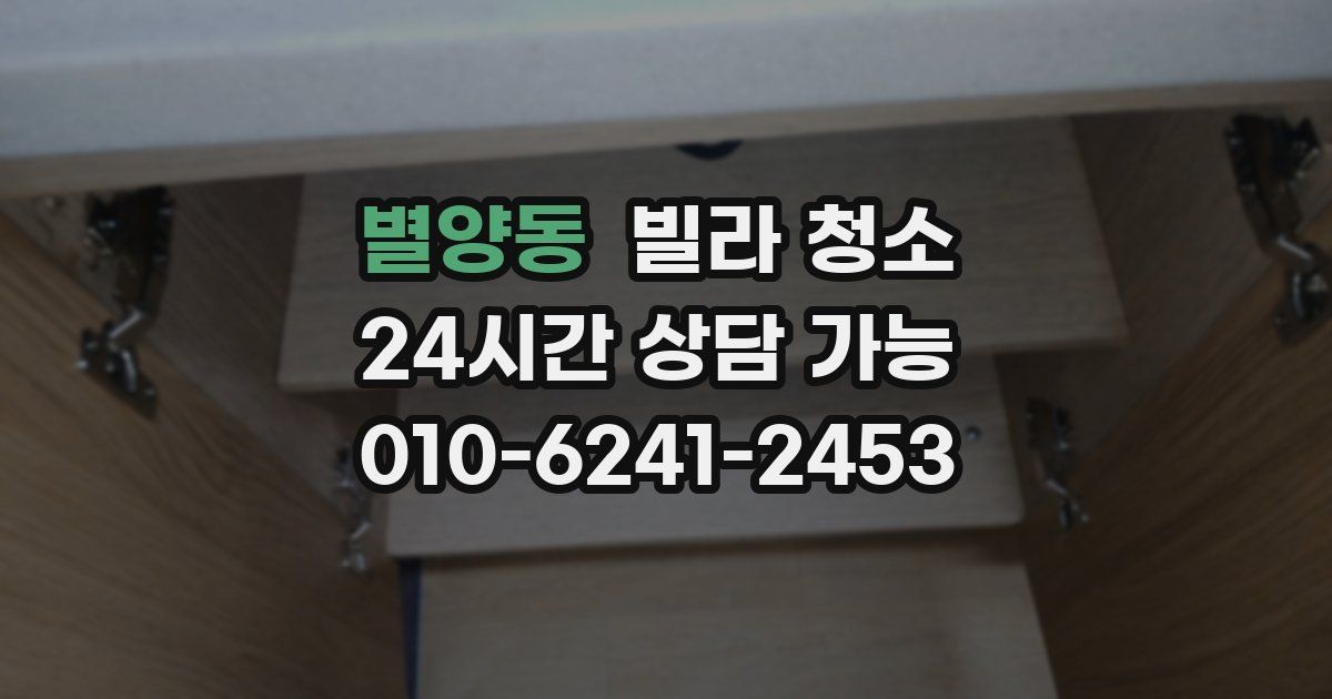 별양동 빌라 청소