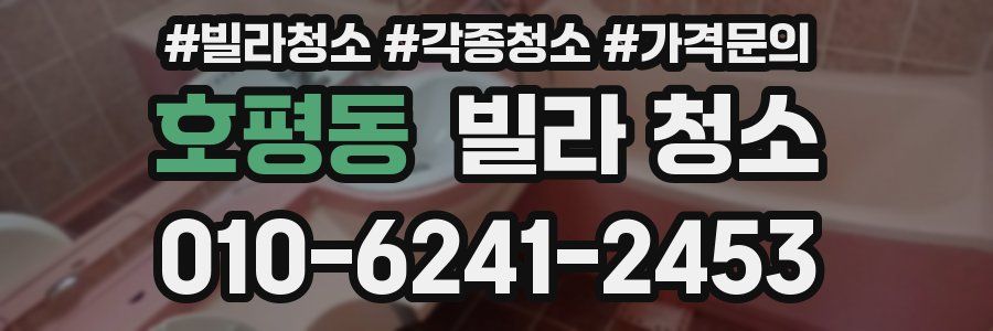 호평동 빌라 청소