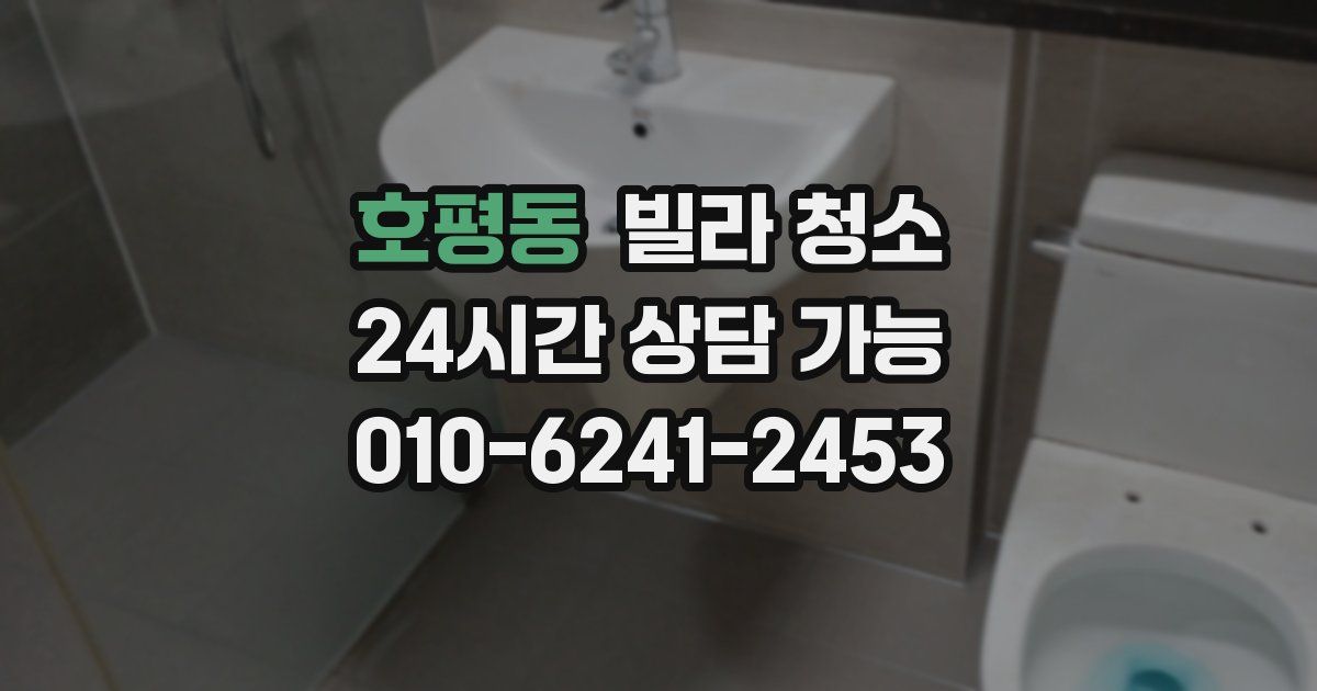 호평동 빌라 청소