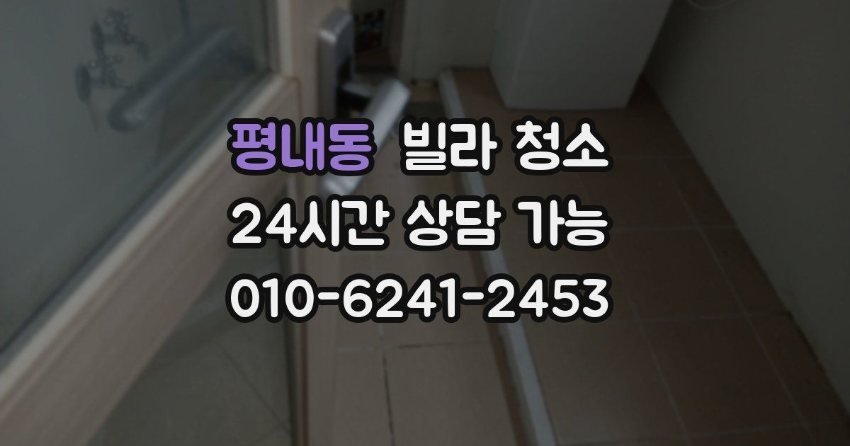 평내동 빌라 청소