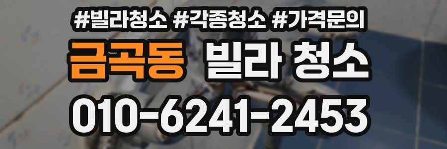 금곡동 빌라 청소