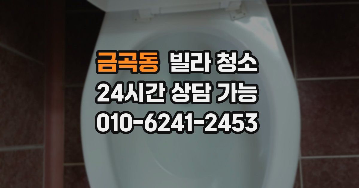 금곡동 빌라 청소