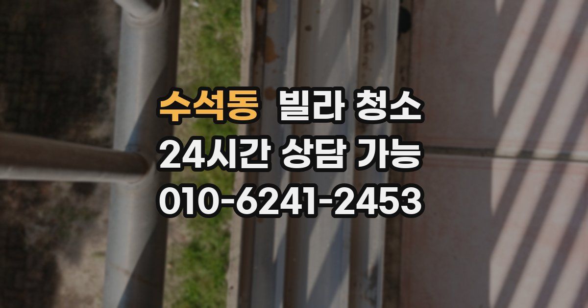 수석동 빌라 청소