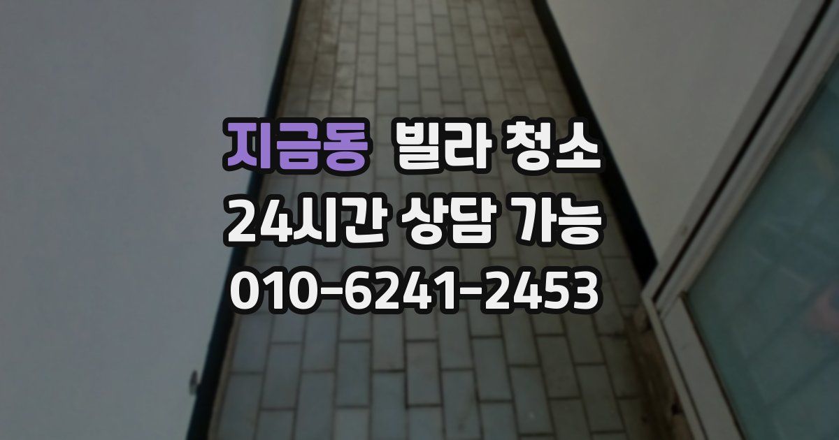 지금동 빌라 청소