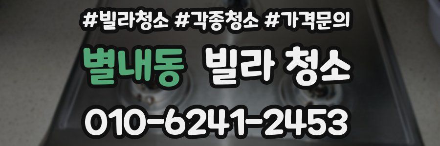 별내동 빌라 청소