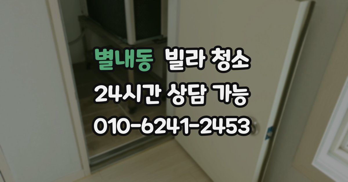 별내동 빌라 청소