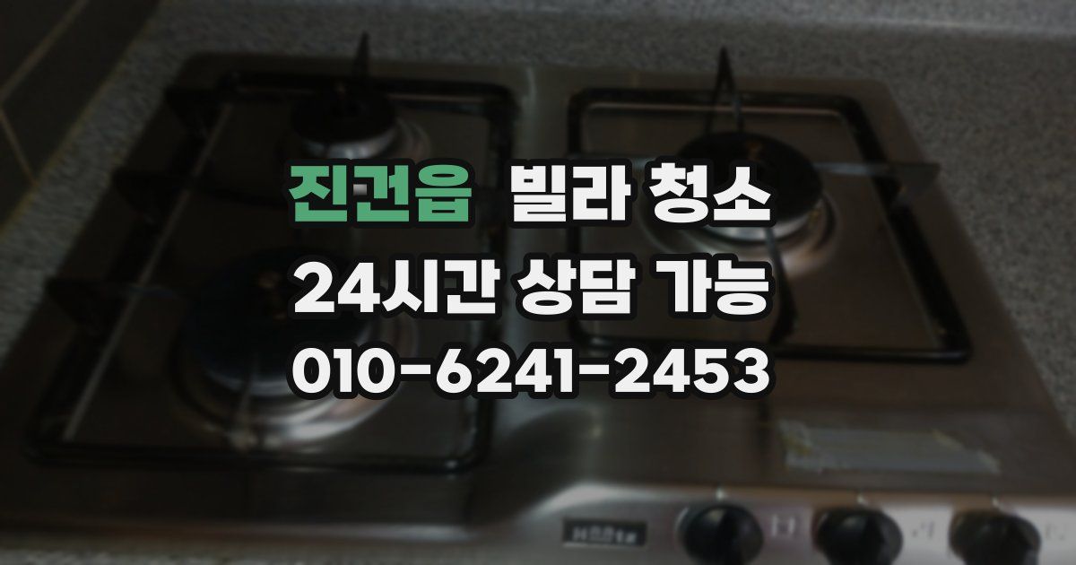 진건읍 빌라 청소