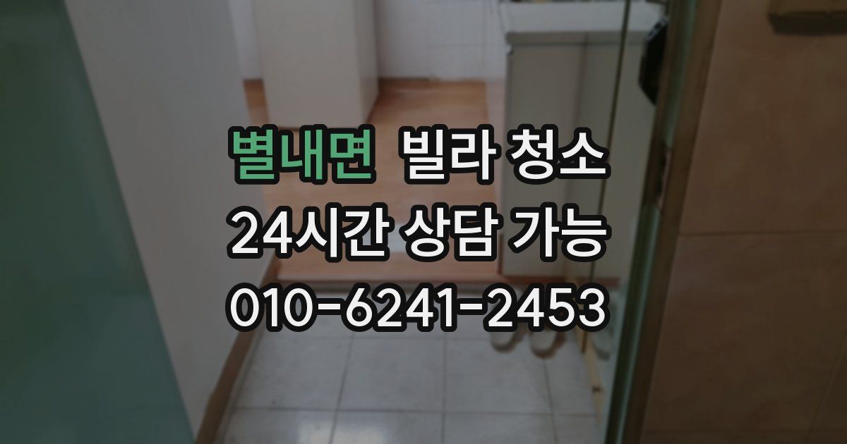 별내면 빌라 청소