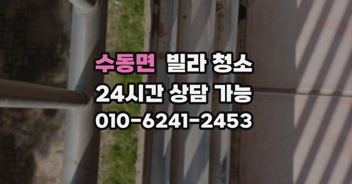 수동면 빌라 청소