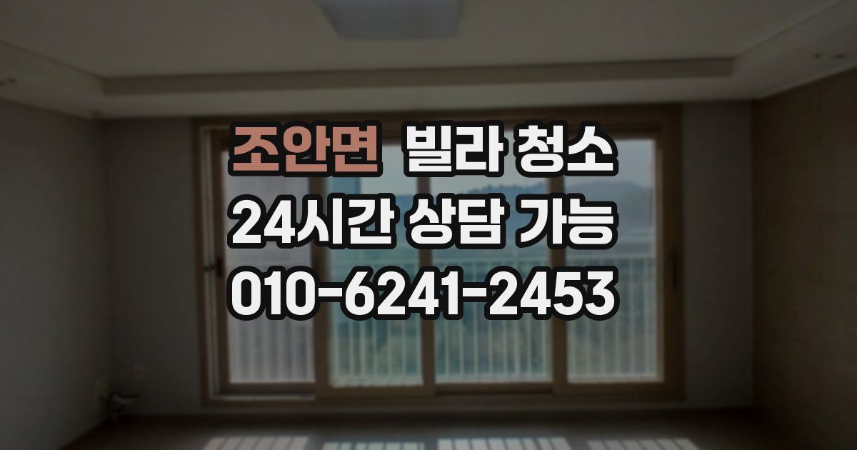 조안면 빌라 청소