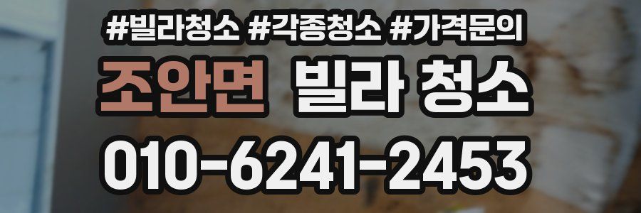 조안면 빌라 청소