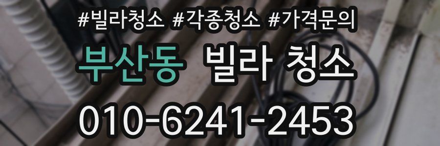 부산동 빌라 청소