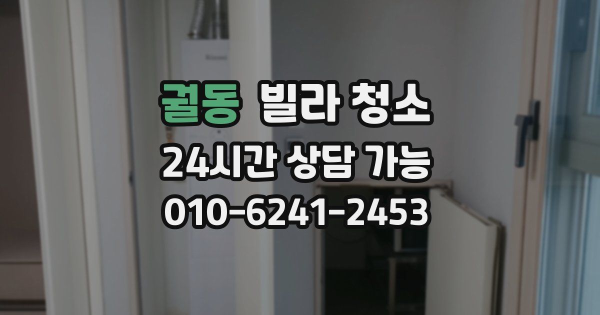 궐동 빌라 청소