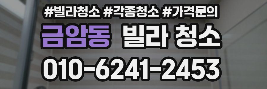 금암동 빌라 청소