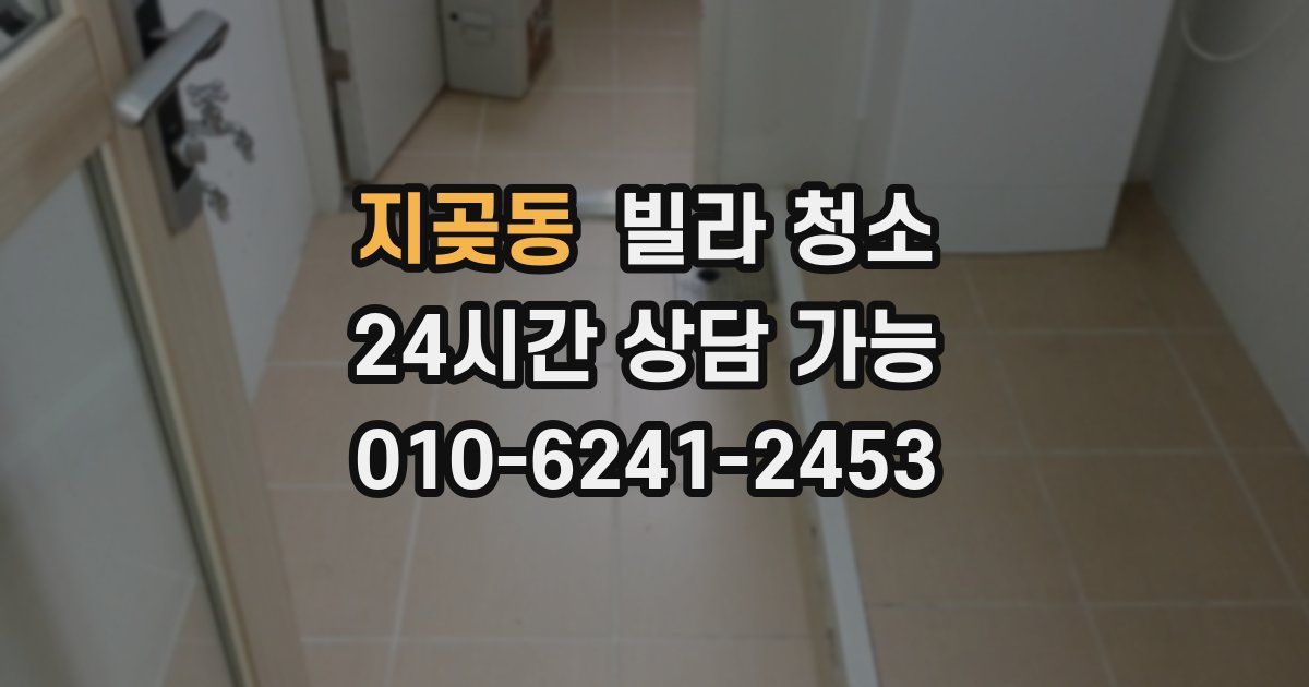 지곶동 빌라 청소