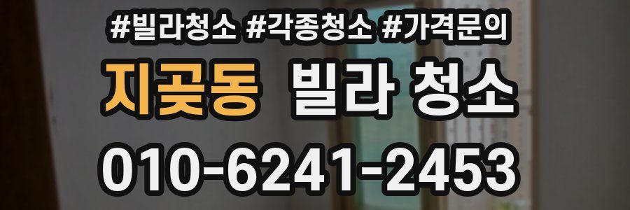 지곶동 빌라 청소