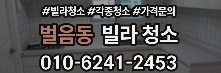 벌음동 빌라 청소