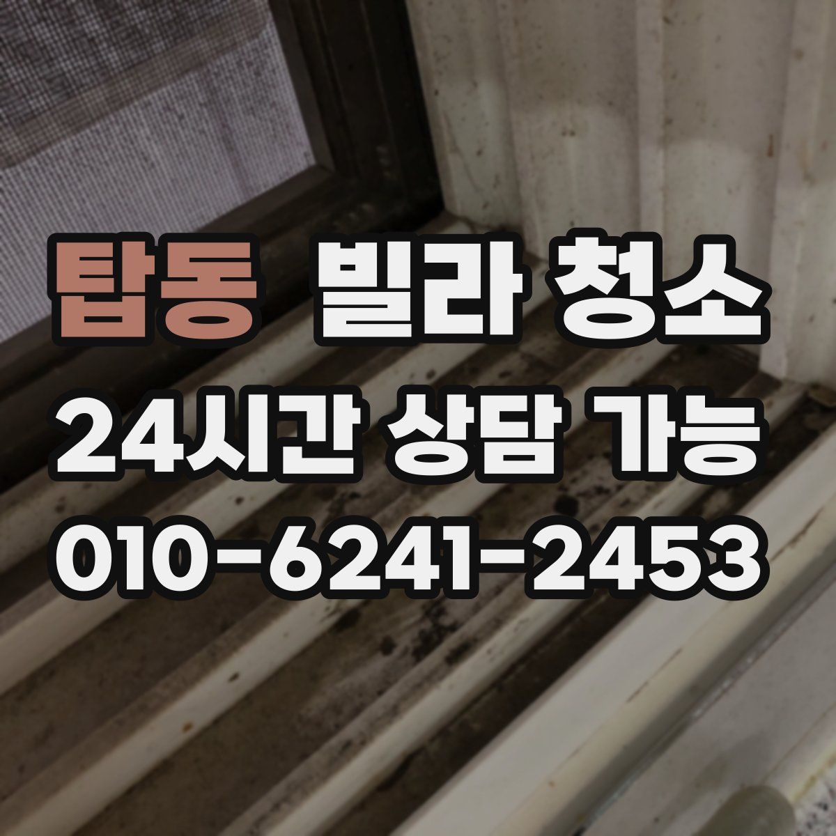 탑동 빌라 청소