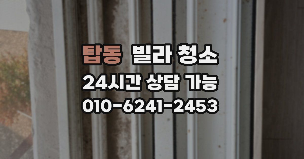 탑동 빌라 청소