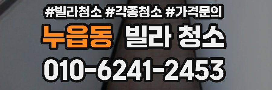 누읍동 빌라 청소