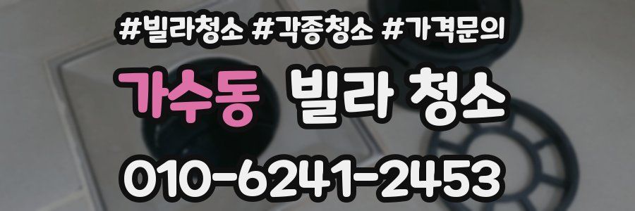 가수동 빌라 청소