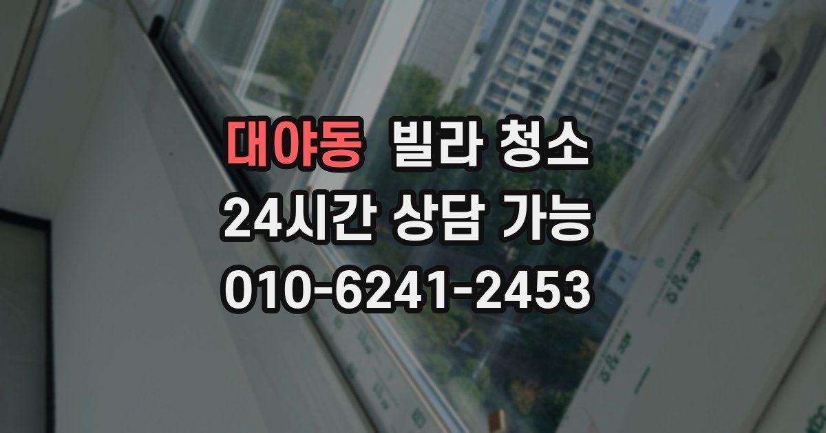 대야동 빌라 청소