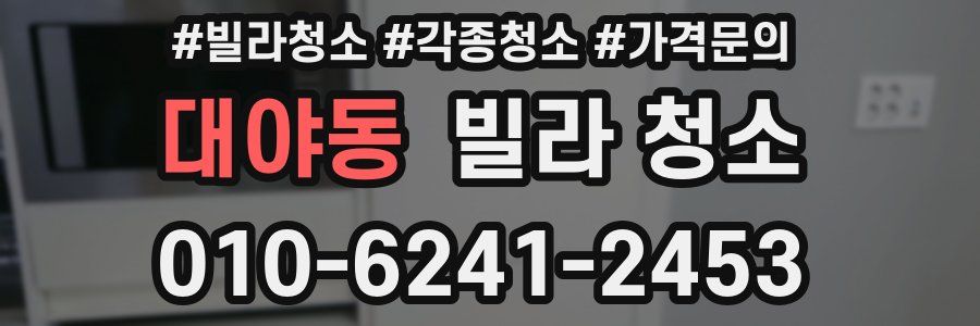 대야동 빌라 청소