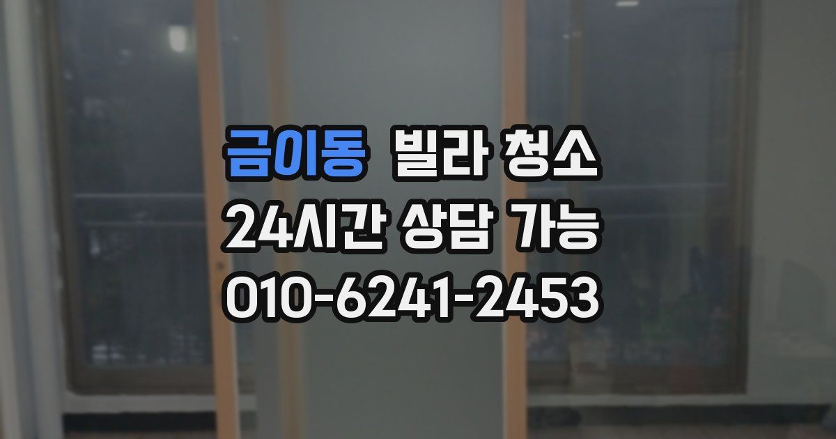 금이동 빌라 청소