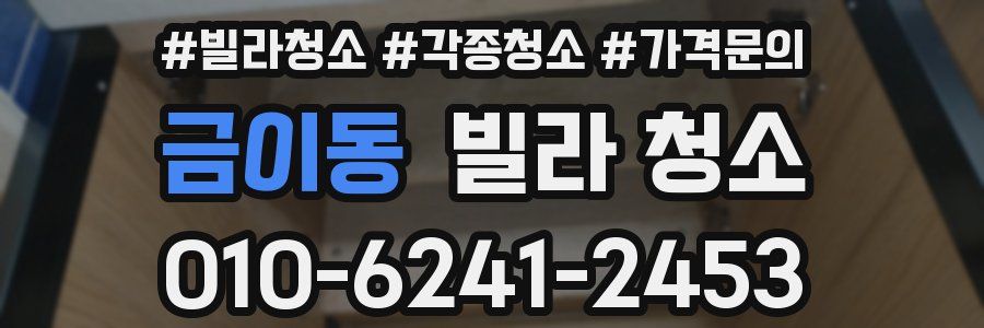 금이동 빌라 청소