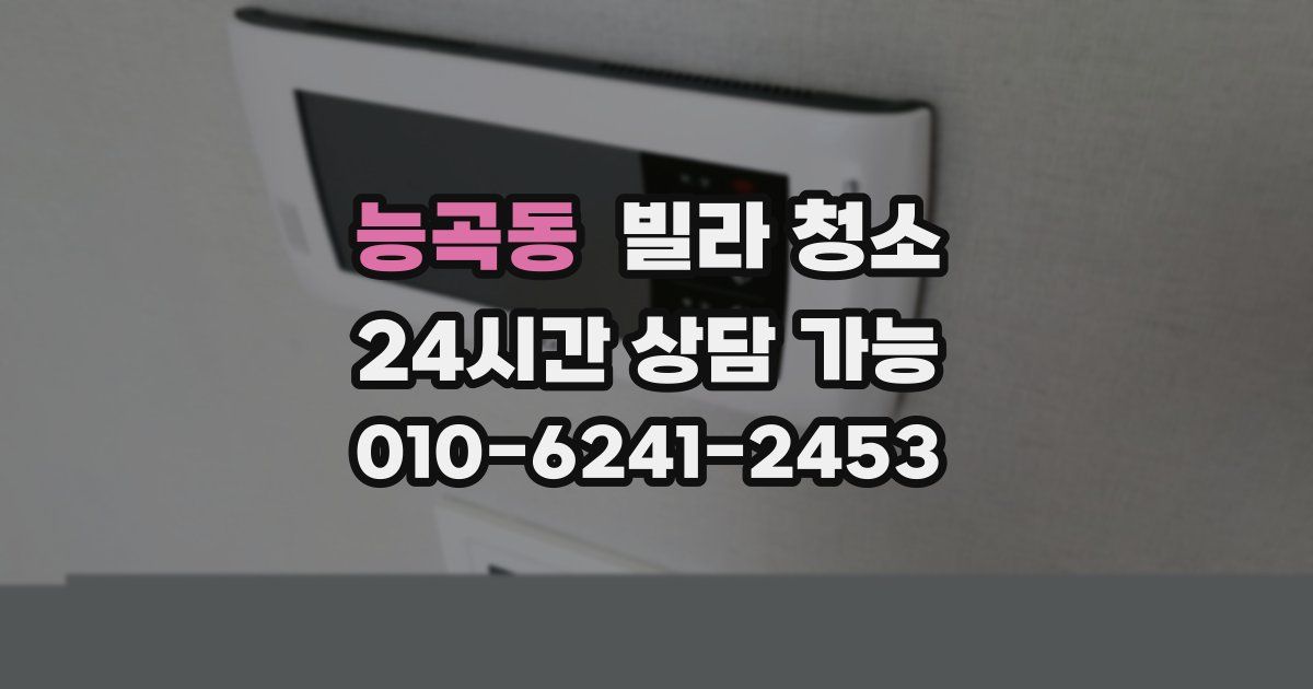 능곡동 빌라 청소