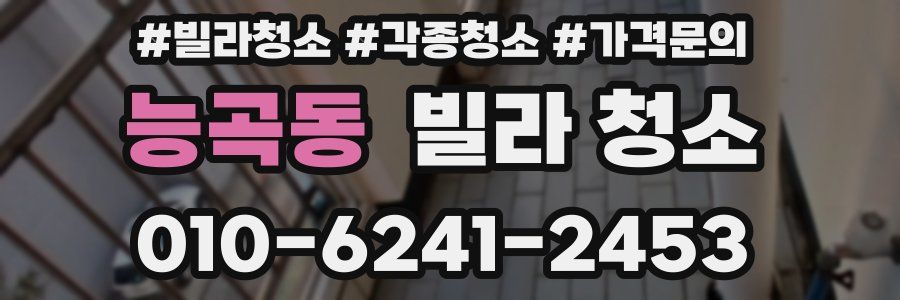 능곡동 빌라 청소