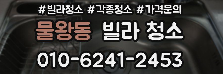 물왕동 빌라 청소