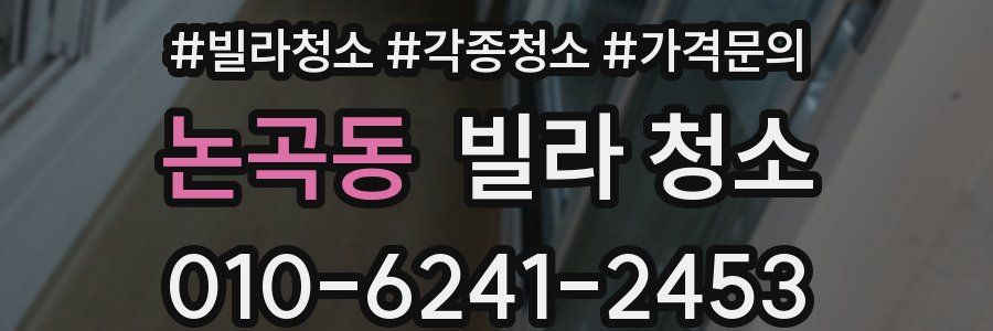 논곡동 빌라 청소