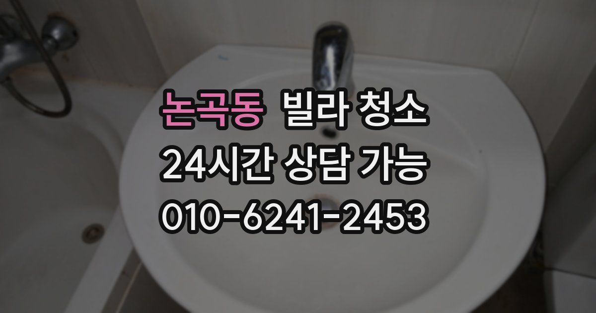 논곡동 빌라 청소