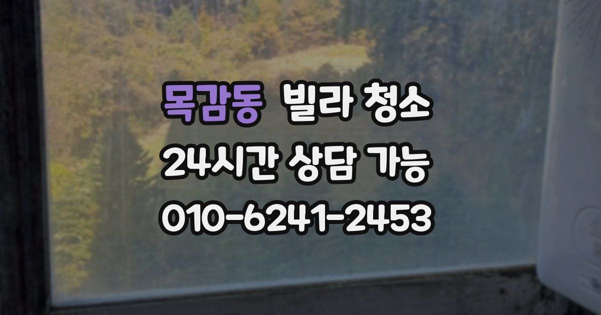 목감동 빌라 청소