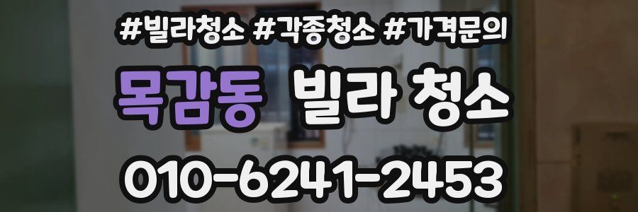 목감동 빌라 청소