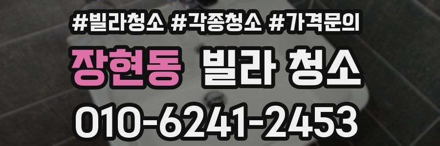 장현동 빌라 청소