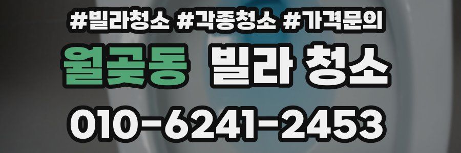 월곶동 빌라 청소