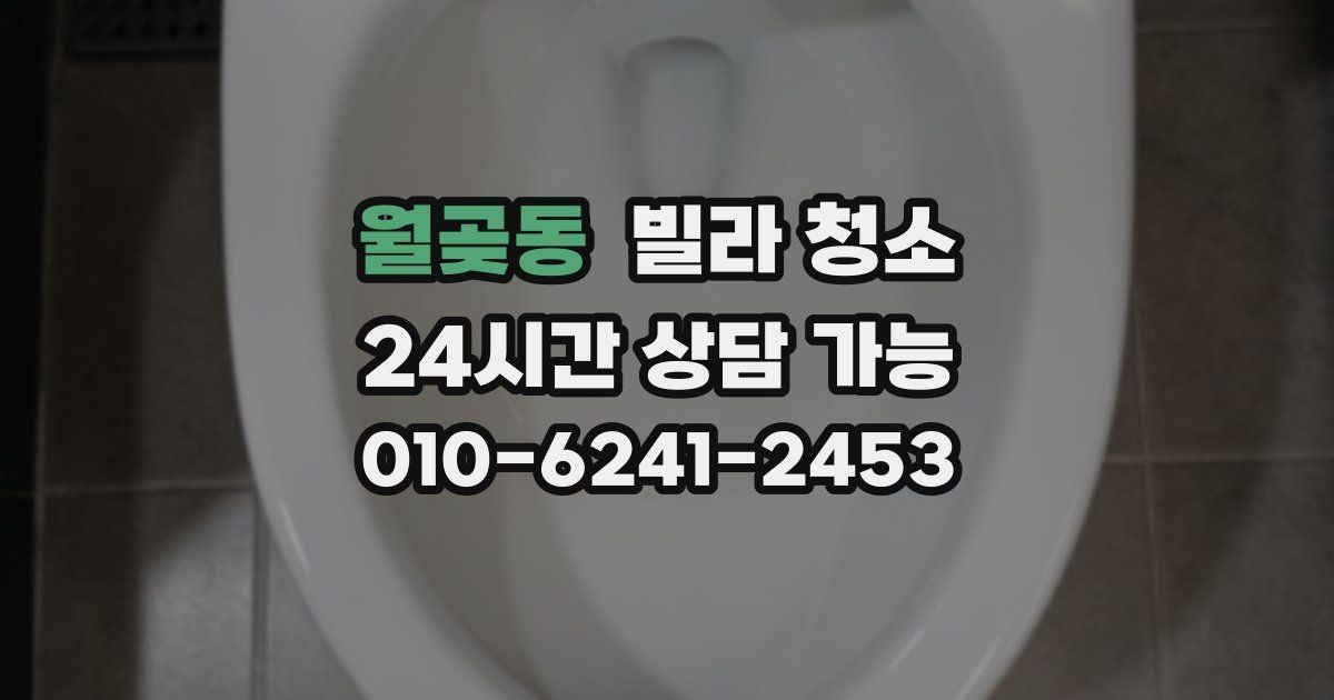 월곶동 빌라 청소