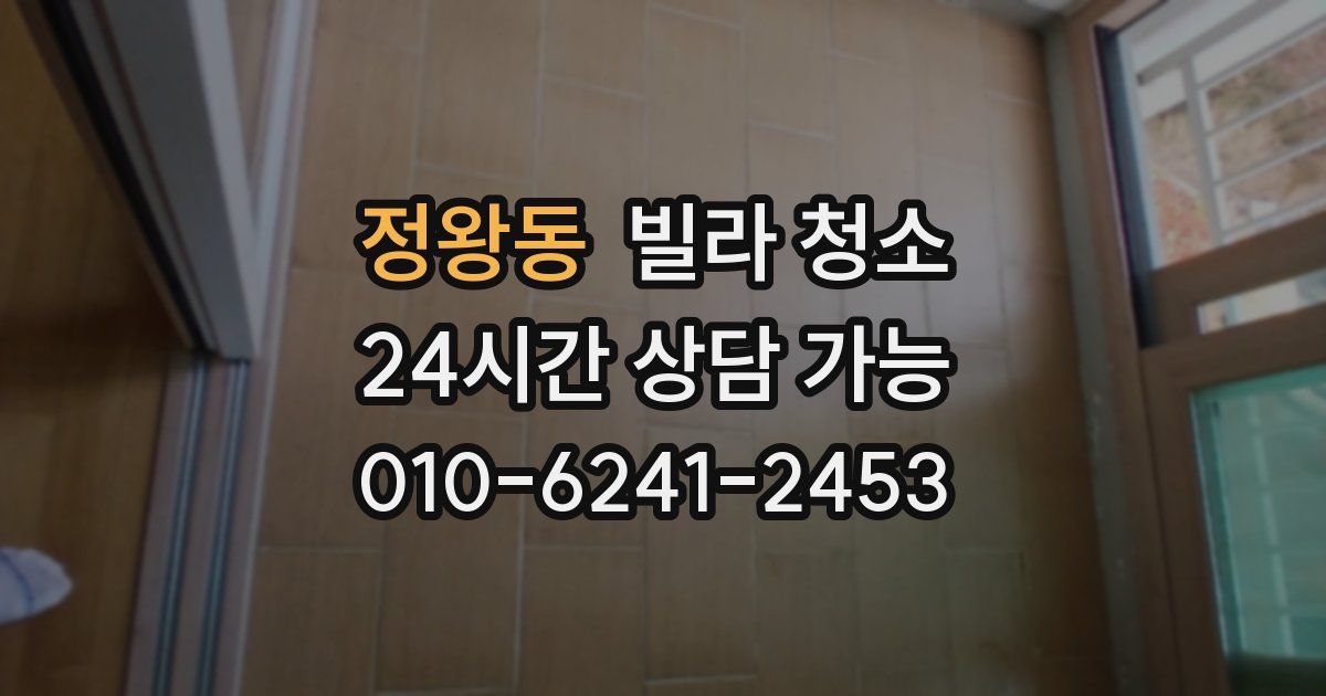 정왕동 빌라 청소