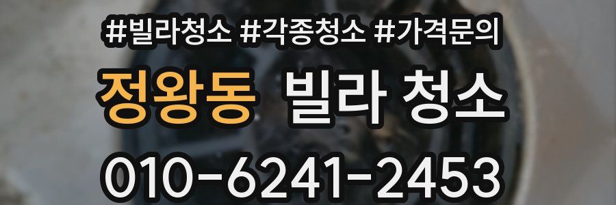 정왕동 빌라 청소