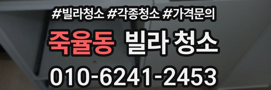 죽율동 빌라 청소