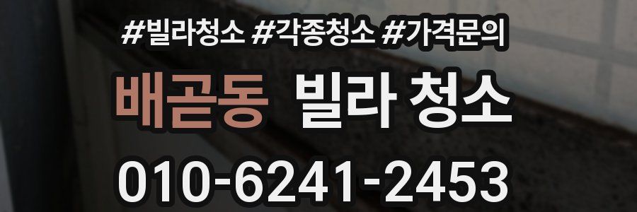 배곧동 빌라 청소