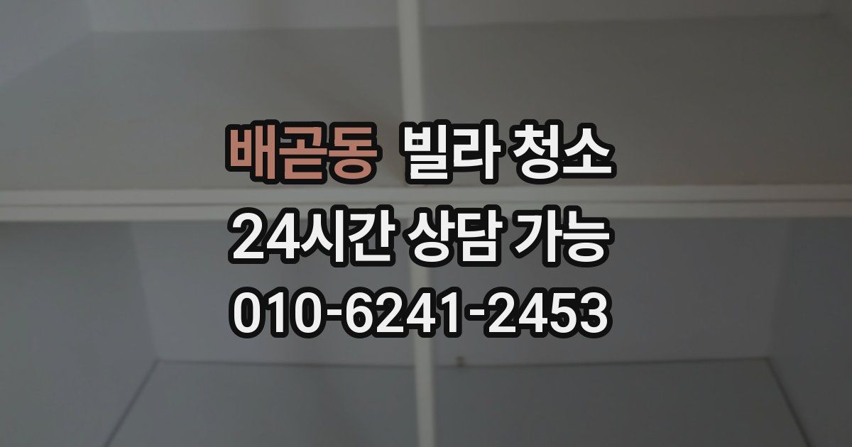 배곧동 빌라 청소