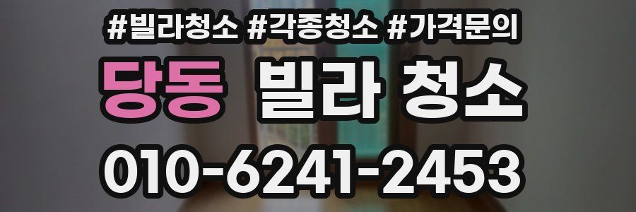 당동 빌라 청소