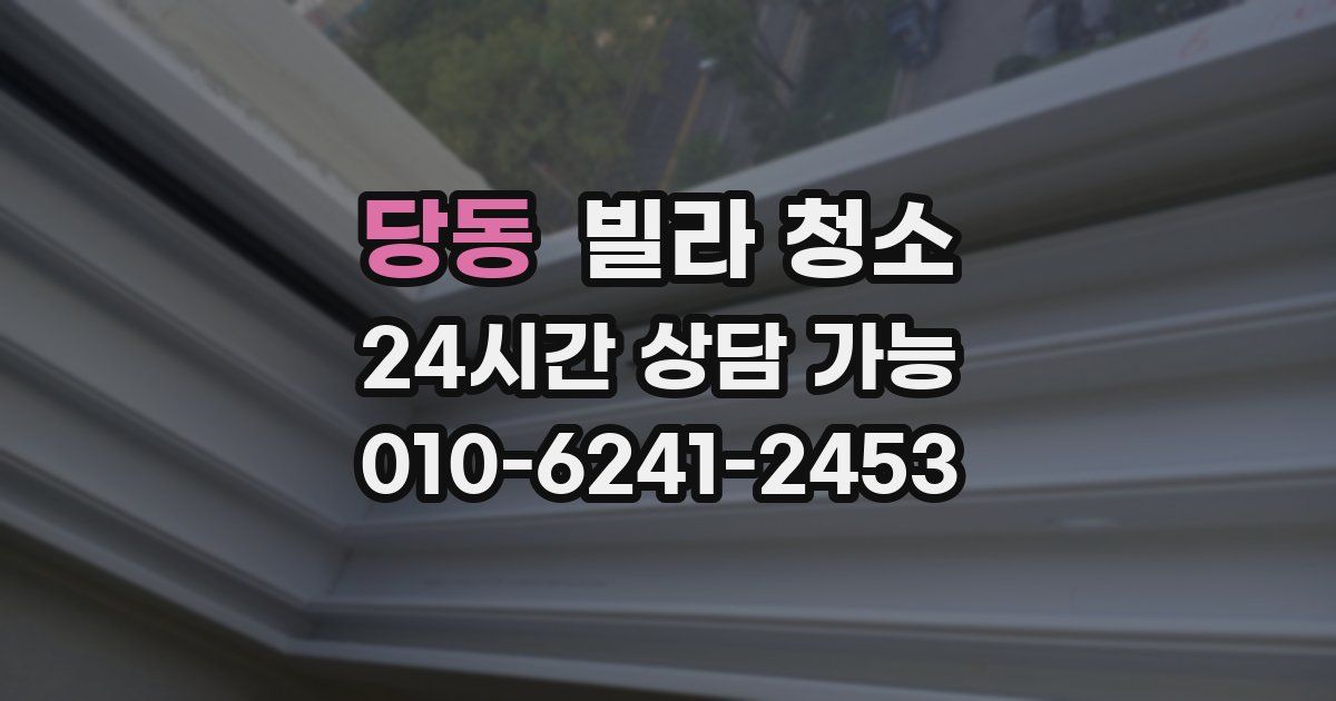 당동 빌라 청소