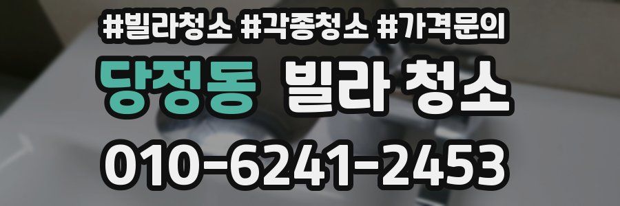 당정동 빌라 청소