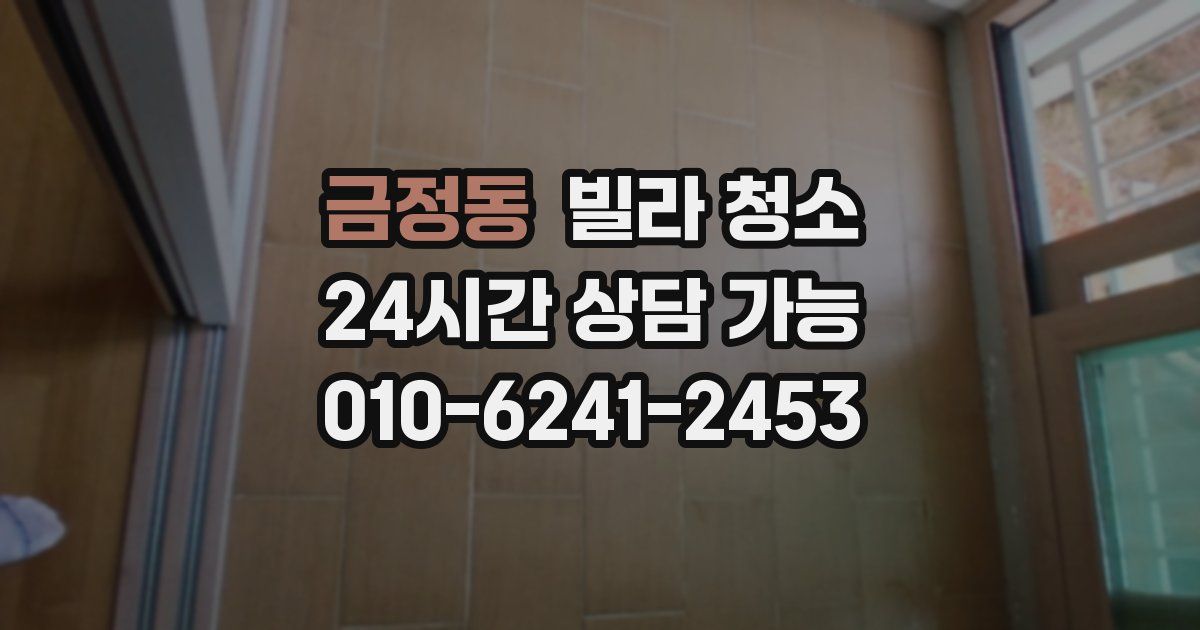 금정동 빌라 청소